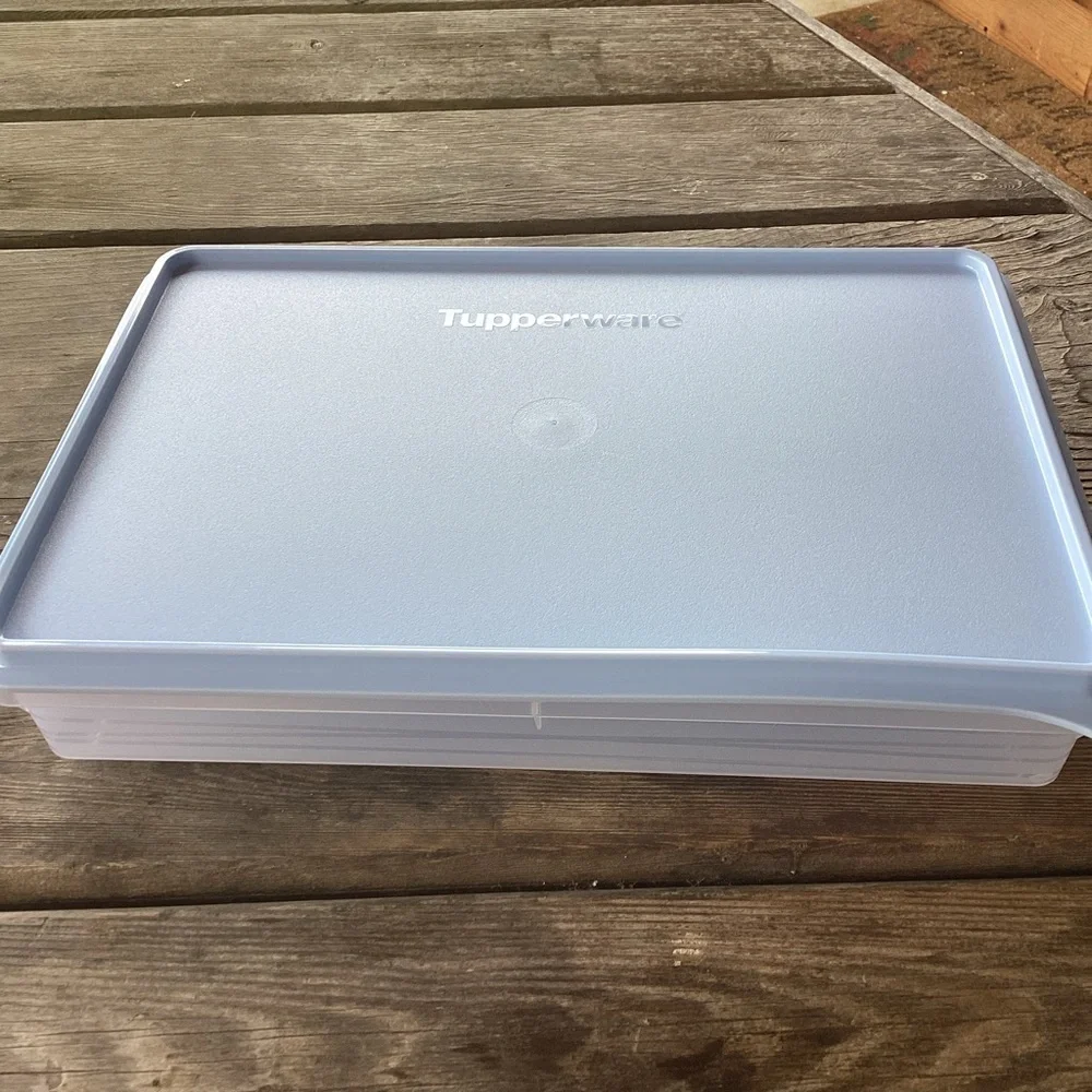 Tupperware Snack-Stor Large Container in Ice Cube color